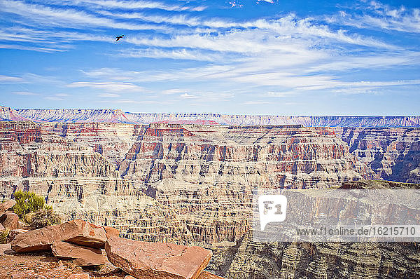 USA  Arizona  Blick auf den Grand Canyon