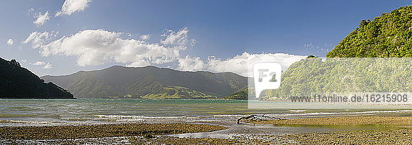 Neuseeland  Südinsel  Marlborough Sounds  Küstenlinie