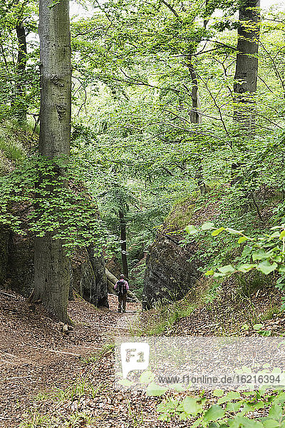 Mid distance view of senior man standing in Thuringia forest  Germany