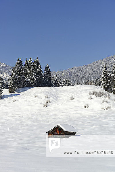 Germany  Bavaria  View of Buckelwiesen during winter