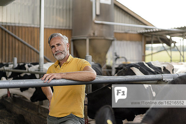 Thougtful mature farmer at cow house on a farm