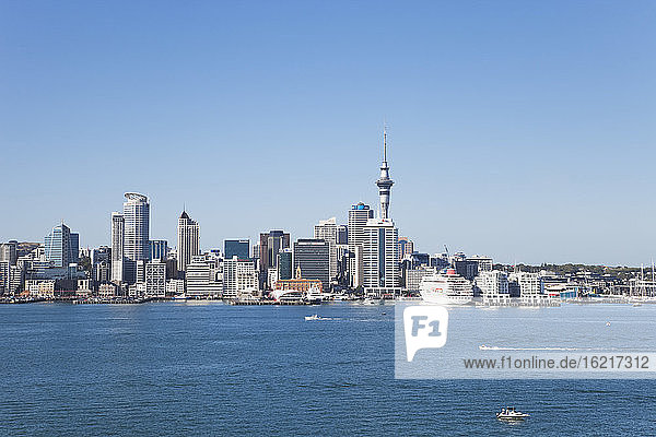 Neuseeland  Auckland  Blick auf die Stadt