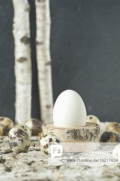 Osterei im Eierbecher mit Wachteleiern