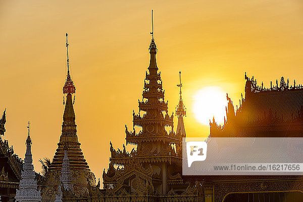Myanmar  Yangon  Golden spires of Shwedagon pagoda at sunset
