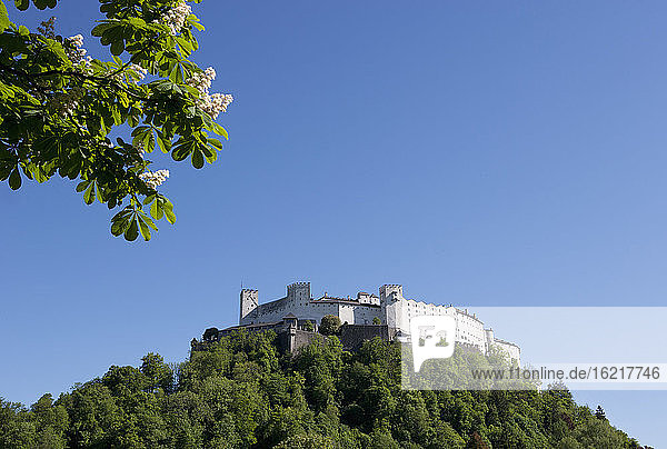 Österreich  Salzburg  Blick auf die Burg Hohensalzburg