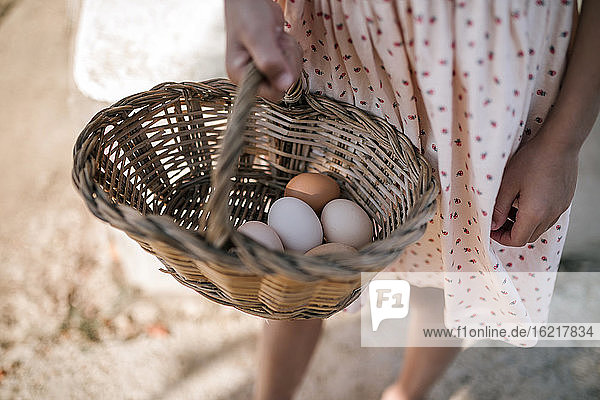 Mädchen hält Weidenkorb mit Eiern in Hühnerfarm