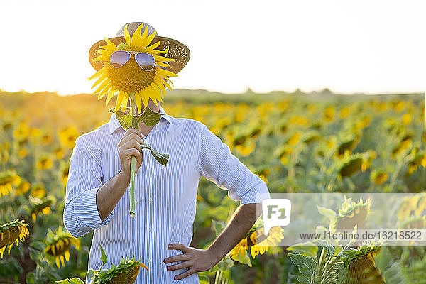 Junger Mann hält Sonnenblume mit Sonnenbrille vor dem Gesicht  während er auf einem Bauernhof bei Sonnenuntergang steht