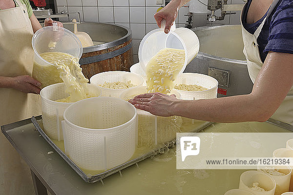 Deutschland  Baden Württemberg  Frauen bereiten Käse in der Industrie vor  Nahaufnahme