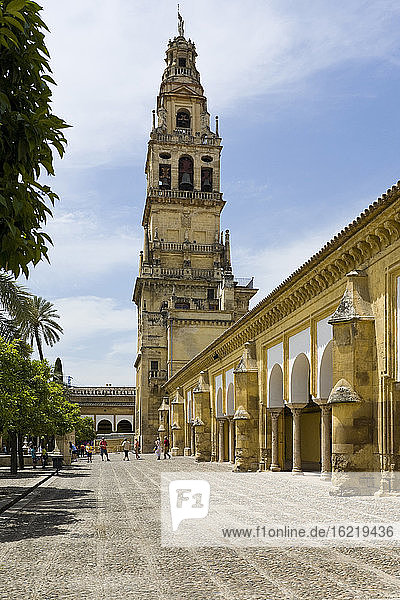 Spain  Andalusia  Cordoba  View on Patio of Mezquita with church tower