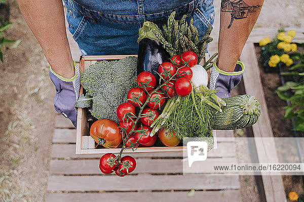 Nahaufnahme einer Frau mit verschiedenen Gemüsesorten in einer Holzkiste im Gemeinschaftsgarten