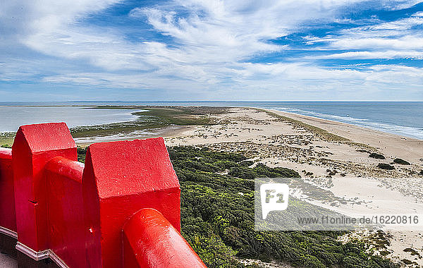 France  Charente-Maritime  view from the lighthouse of la Coubre (1905)  dune and Bonne Anse bay  state forest of la Coubre