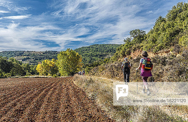 Spain  Aragon  hikers in the countryside near Aguero