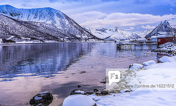 Norwegen  Bezirk Tromso  Insel Senja  Hafen auf dem Grund eines Fjordes