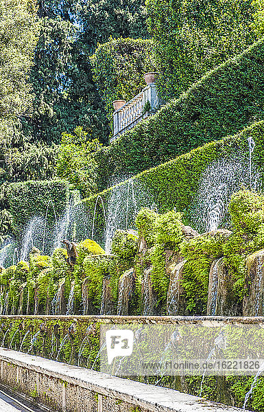 Italy  Latium  Tivoli  fountain of the garden of the Villa d'Este (UNESCO World Heritage)  Renaissance