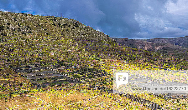 Spain  Canary Islands  Isle of Lanzarote  terraced crops in Caleta de Famara