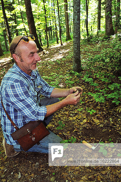 Schweiz  Waadt  Dorf Bonvillars am Neuenburgersee  Franck Siffert  ein Trüffelexperte hat gerade einen Trüffel im Unterholz gefunden