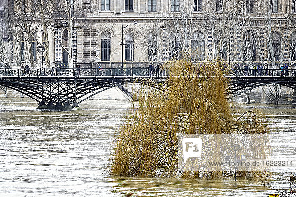 Europa  Frankreich  Ile de France  Paris  die Seine am 28. Januar 2018 über die Ufer getreten  die Weide des Jardin du Vert Galan  vom Wasser überflutet