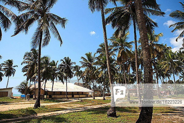 Tanzania, Zanzibar (Unguja island), Pwani Mchangani.