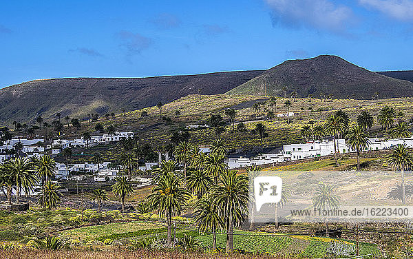 Spain  Canary Islands  Lanzarote Island  chapel of the village of Caleta de Famara