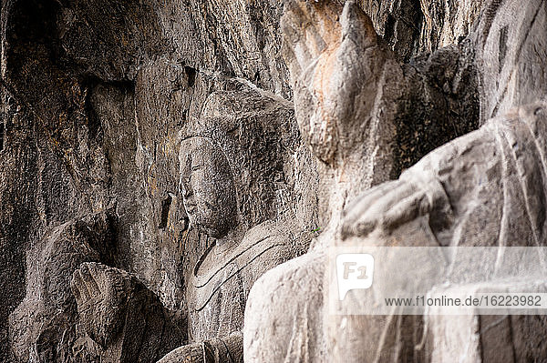 Zahlreiche Bouddha-Statuen in den Longmen-Höhlen  Luoyang  Henan  China