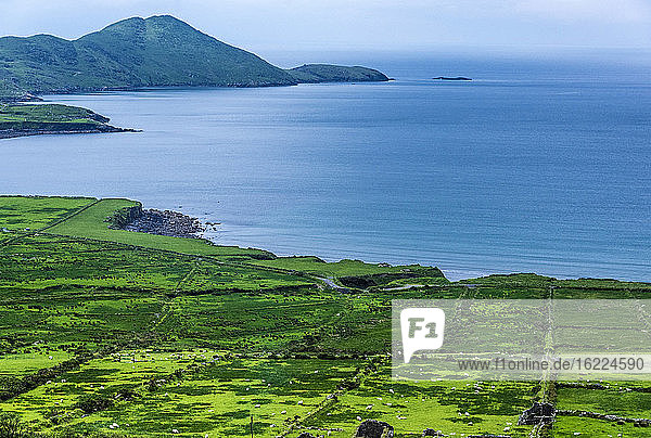 Republic of Ireland  County Kerry  Iveragh Paninsula  Ring of Kerry  agricultural landscape by the sea