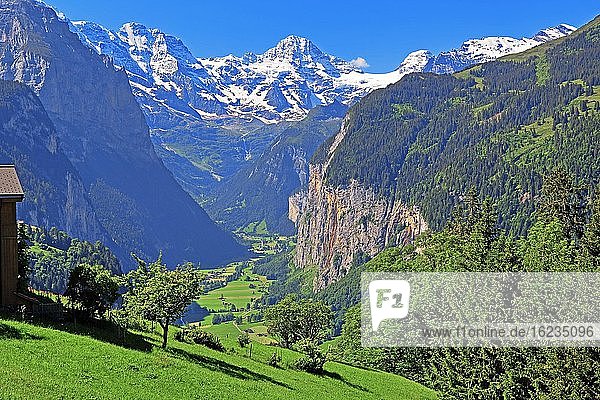 Lauterbrunnental mit Breithorn  Wengen  Jungfrau-Region  Berner Oberland  Kanton Bern  UNESCO-Weltnaturerbe  Schweiz  Europa