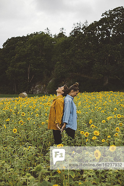 Ehepaar auf blühendem Sonnenblumenfeld