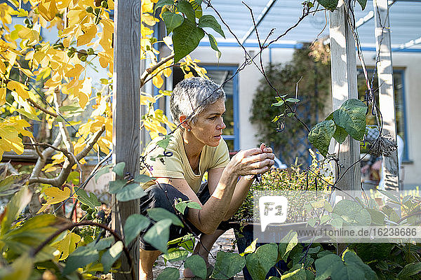 Frau im Garten