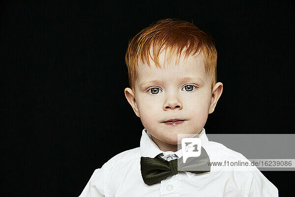 Portrait of boy wearing bow tie