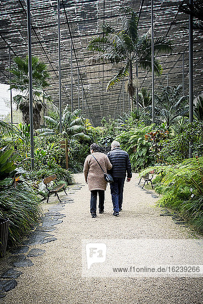 Paar geht im Gewächshaus des botanischen Gartens spazieren