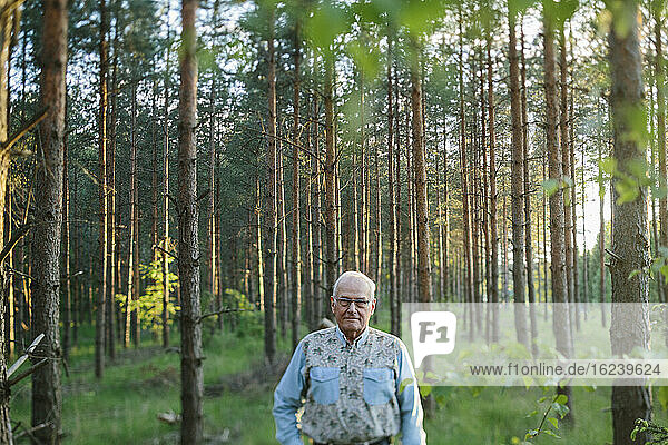 Senior man in forest