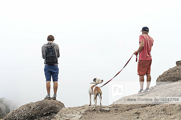 Zwei Männer mit Hund schauen in den Nebel