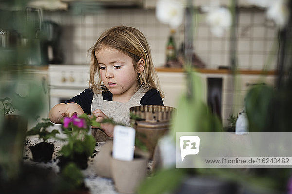 Girl potting flower
