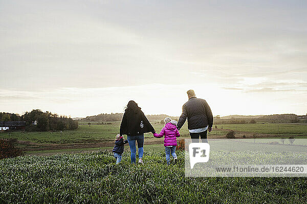 Family walking on meadow