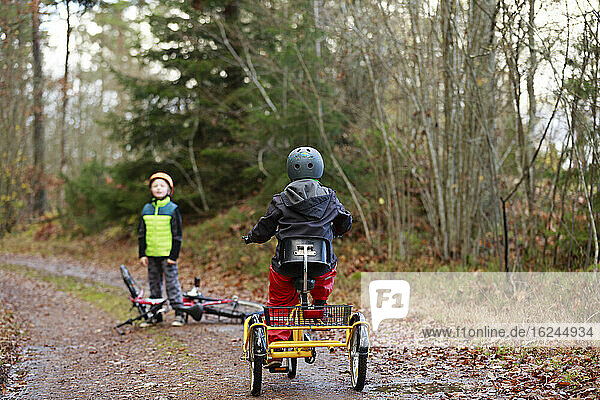 Boys cycling through forest