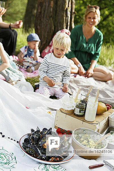 Familie beim Picknick