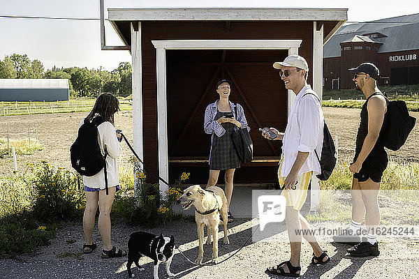 Menschen mit Hunden an der Bushaltestelle