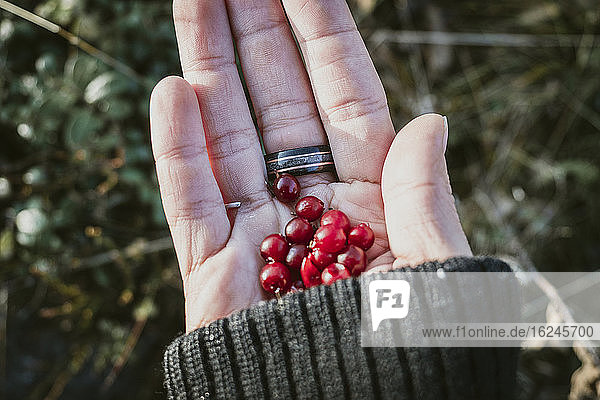 Berries on womans hand