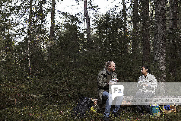 Couple having picnic in forest