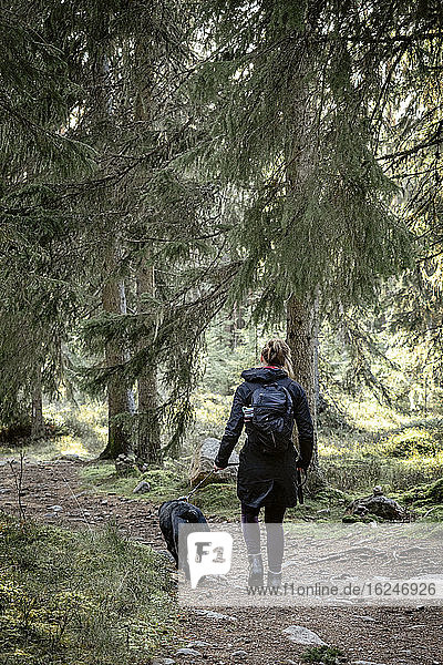 Rückansicht einer Frau  die mit ihrem Hund durch den Wald läuft