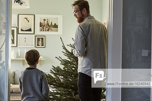 Vater und Sohn  Weihnachtsbaum im Hintergrund