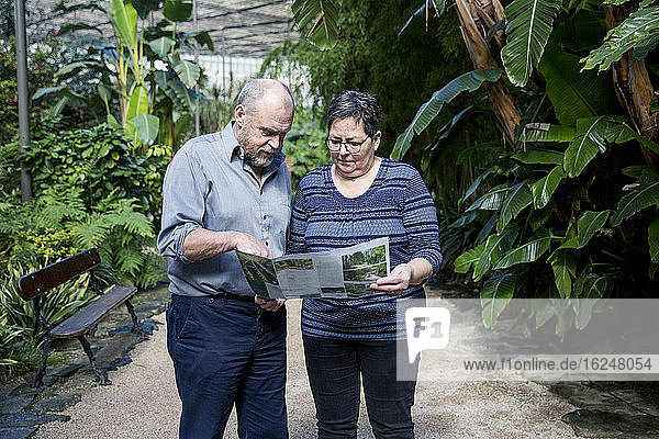Pärchen liest Broschüre im botanischen Garten