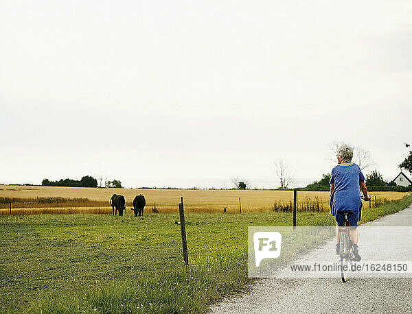 Ältere Frau fährt Rad und schaut Kühe an