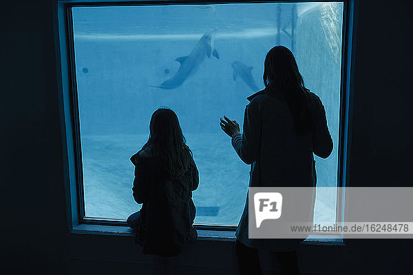 Mutter und Tochter im Aquarium