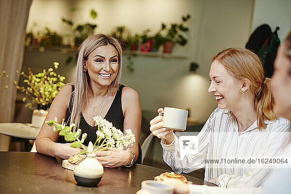 Weibliche Freunde unterhalten sich im Café