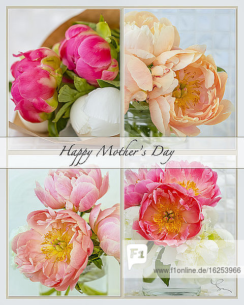 Collage aus vier Bildern von Pfingstrosen mit Text; Happy Mother's Day