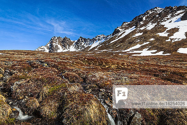 Strom durch das Tundra-Feld 'The Ballpark' unter blauem Himmel. O'Malley Peak und False Peak sind im Hintergrund zu sehen. Chugach State Park Süd-Zentral-Alaska im Frühling; Alaska Vereinigte Staaten von Amerika
