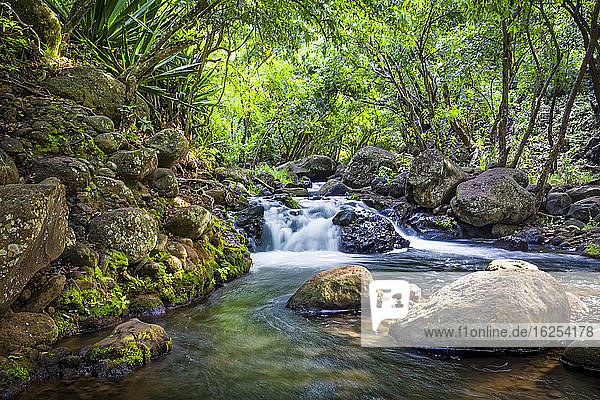 Kaskaden des Kalalau-Stromes im tropischen Regenwald Kalalau-Tal Na Pali Coast State Park; Kauai Hawaii Vereinigte Staaten von Amerika