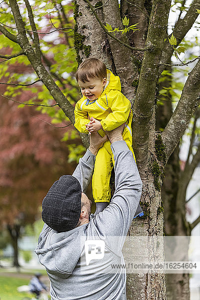 Vater hebt im Frühling seine Tochter im Park auf einen Baum  während sie ihn freudig anlächelt; Surrey  Britisch-Kolumbien  Kanada