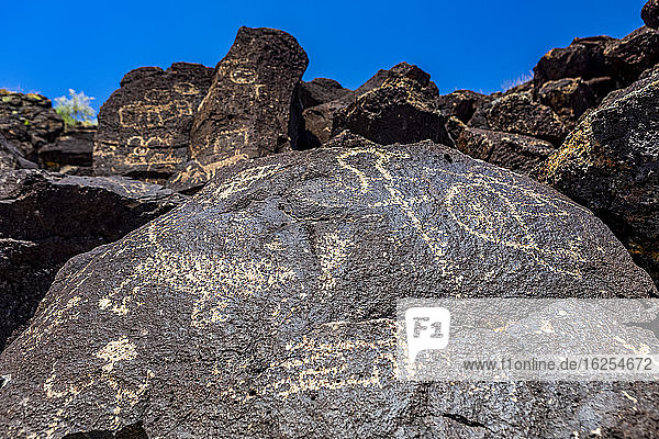 Petroglyphen auf Vulkangestein im Piedras-Marcadas-Canyon  Petroglyphen-Nationaldenkmal an einem sonnigen Frühlingsnachmittag; Albuquerque  New Mexico  Vereinigte Staaten von Amerika